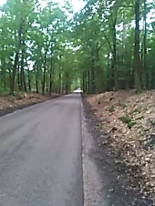 Cycling in Gelderland (the Netherlands)