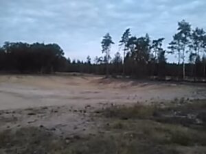 Sandy Clearing (Gelderland, Netherlands)