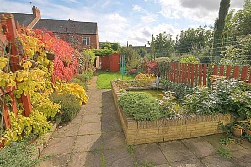 My Garden
