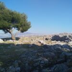 The 40 Saints Monastery in Saranda and Its Place in Local History