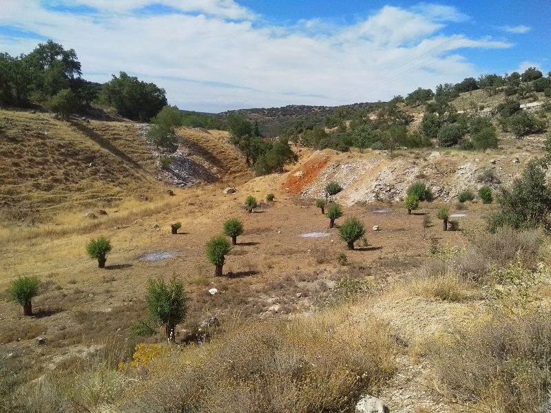 Rough Terrain in Spain (Hey! That Rhymes!)
