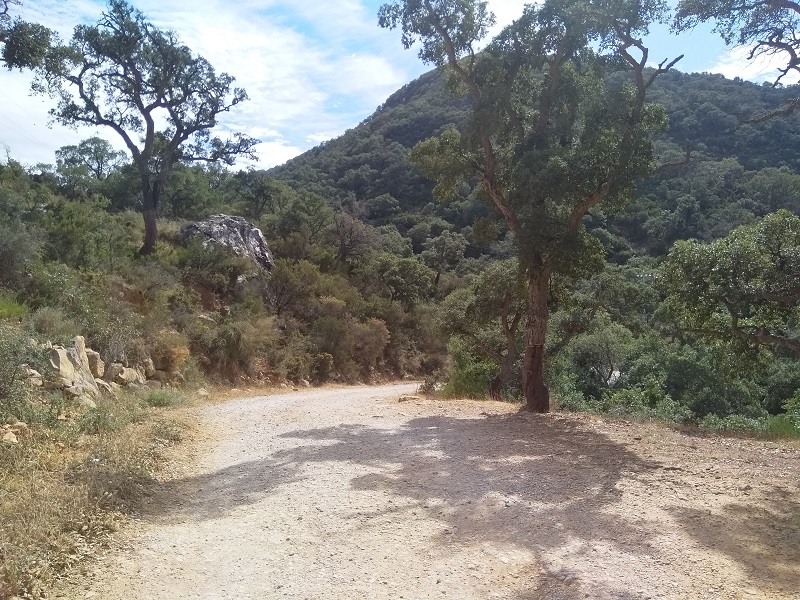 Hiking Route (Algeciras, Spain)