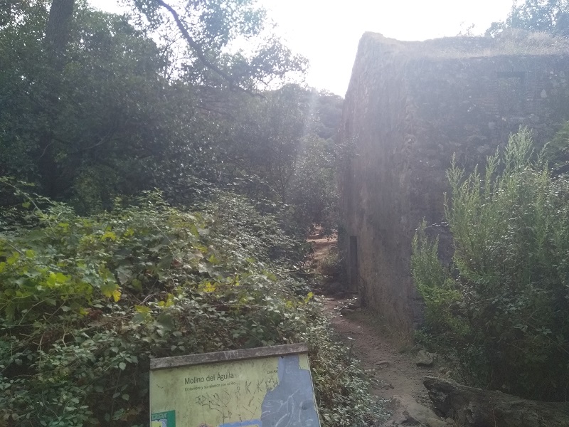 The Molina del Aguila (Water Mill)