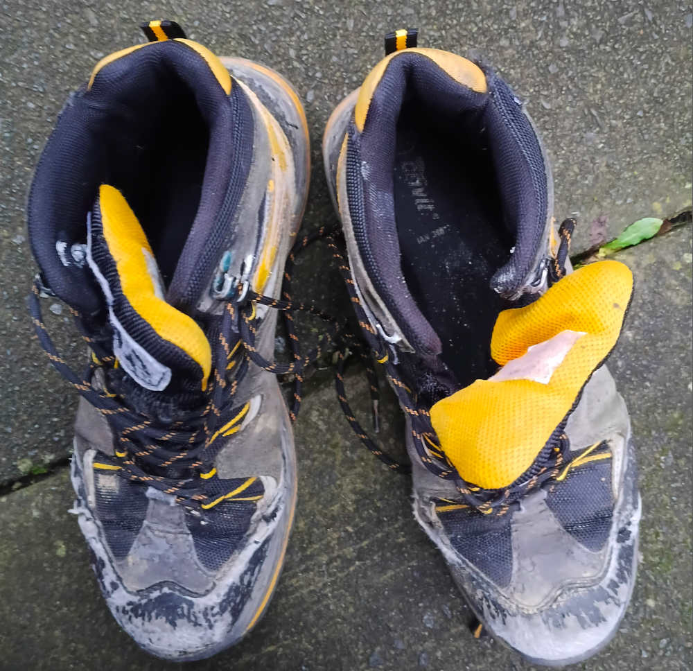 Lidl Crivit Hiking Boots in Yellow and Grey